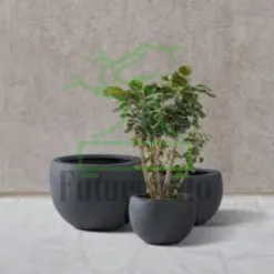 Lightweight Concrete Planter in California